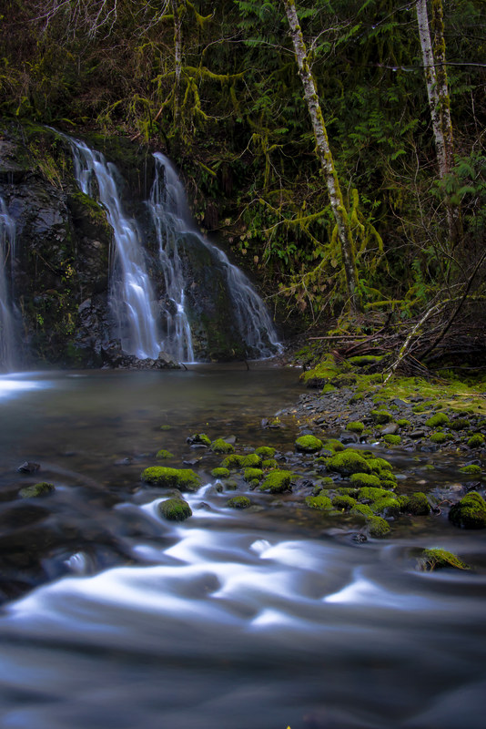 Long exposure waterfall with silky water flowing into mossy pool in Olympic Peninsula forest